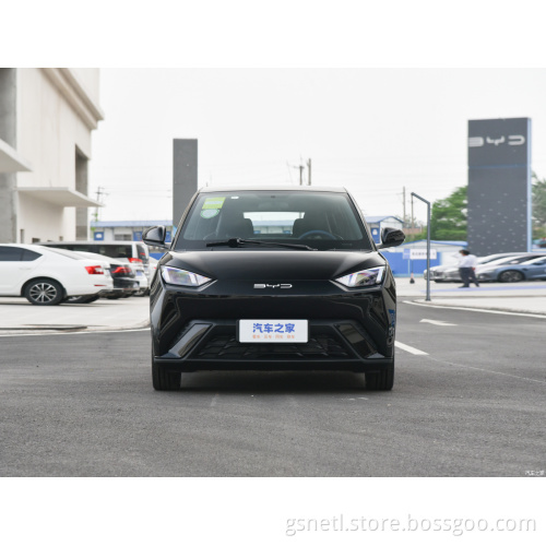 Byd used car BYD Seagull Dynamic Edition electric car adult vehicle cheap new energy vehicle used car